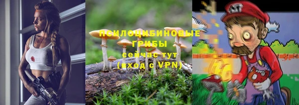 индика Воткинск
