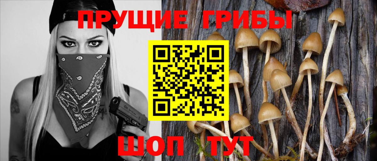 Галлюциногенные грибы мухоморы Семилуки